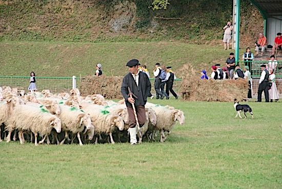 AUTOUR DES CHIENS - La remarquable Fête des Bergers à Aramits